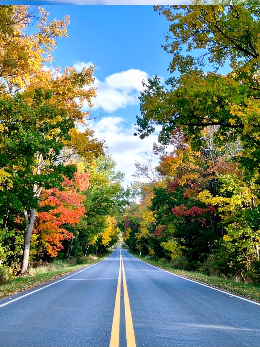 Scenic Autumn Road Photography Print - Vibrant Fall Colors
